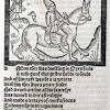 Character of Nicholas in Chaucer's Miller's Tale
