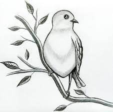 25 easy bird drawing ideas picture