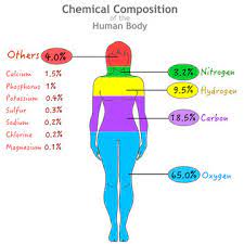 chemical composition elements in human