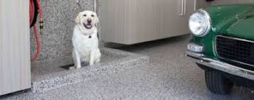 epoxy flooring for dog kennels best