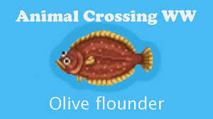 Animal Crossing Ww Catching An Olive Flounder Youtube