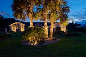 Jacksonville Palm Tree Lighting