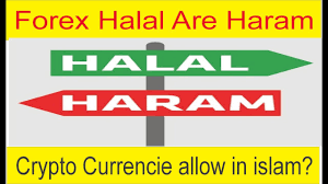 Are options trading halal or haram? Forex Trading Crypto Currency Halal Are Haram Fatwa In Urdu And Hindi By Tani Forex Youtube