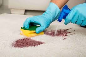 pet urine carpet stain removal