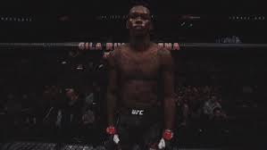 Facebook twitter google + like liked; Top 30 Adesanya Ufc 243 Gifs Find The Best Gif On Gfycat