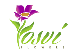 Miami Florist Flower Delivery By Yosvi