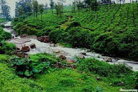 Valparai Best Places To Stay gambar png