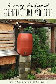 6 easy backyard permaculture projects