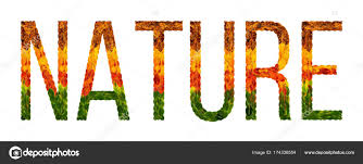 Word Nature Written With Leaves White Isolated Background