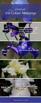 Our funeral flowers guide will help you respectfully choose and send flowers to honor the life of someone who has passed. Funeral Flowers And Their Meanings The Ultimate Guide Iris Flowers Flower Meanings Funeral Flowers