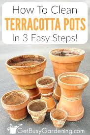 clean terracotta pots clean clay pots