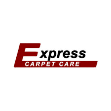 9 best brandon carpet cleaners