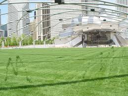 Jay Pritzker Pavilion Designed By Frank Gehry