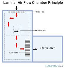 guide on laminar flow hood cabinet