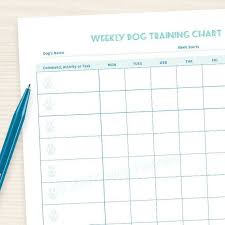 Dog Training Weekly Chart Printable Pdf 7 Day Week