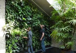 indoor vertical gardens ideas spruce