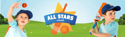 All Stars/Dynamos Cricket - Abercynon