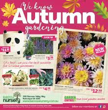 garden centres sa autumn catalogue 2019