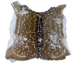 second grade axis deer skin average size