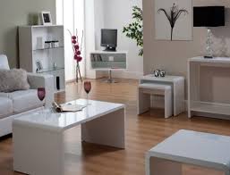 glossy furniture for living room