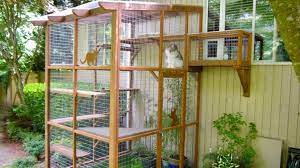 or make an outdoor cat enclosure