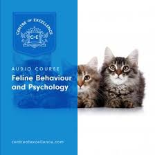 Where you will find everything about the breed. Listen Free To Feline Behaviour And Psychology By Centre Of Excellence With A Free Trial
