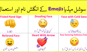 emojis meaning in urdu with pictures
