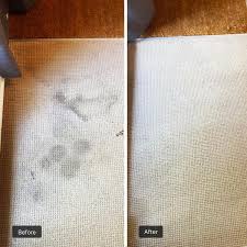 carpet cleaning in bristol