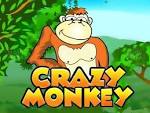   Crazy Monkey
