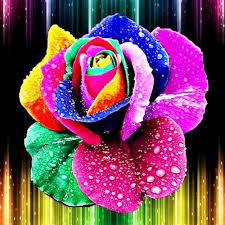 Mdf Decorative Rainbow Rose Wall