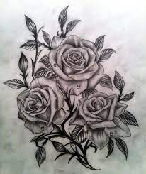 20 drawings of roses free psd ai