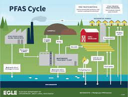 Pfas are used in a staggering array of consumer products and commercial applications. Per And Polyfluoroalkyl Substances Pfass Heer Office