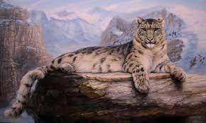 Realism Art Snow Leopard Painting