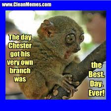 Best Day Ever | Clean Memes – The Best The Most Online via Relatably.com