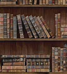 Book Shelves Wallpaper By Mindthegap In