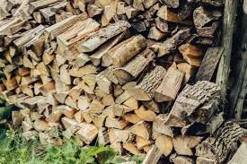 10 top tips for control of firewood pests