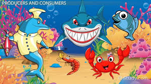 Ocean Food Chain Lesson For Kids