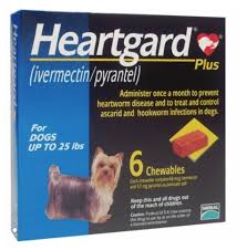 best heartworm prevention cine for