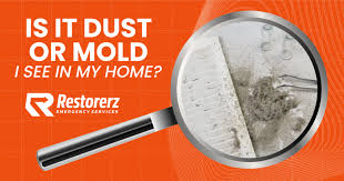 dust or mold in your home