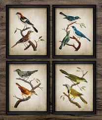 Bird Prints Bird Art Print Bird Wall Art