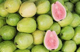 guava nutrition facts calories in guava