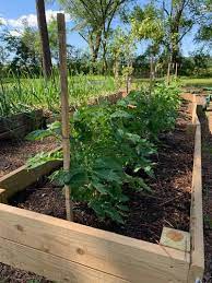 Raised Bed Gardening