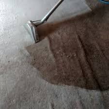superior carpet cleaning 4385 colony