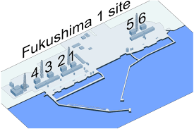 Ushima Daiichi Nuclear Disaster