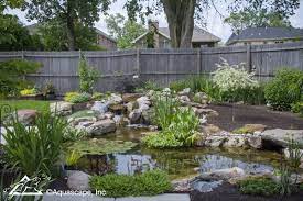 planning your pond renovation