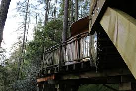 staying in a tree house in wales