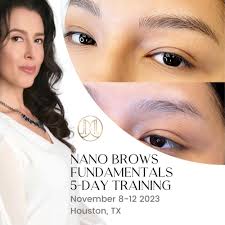 5 day nano brows machine hairstrokes