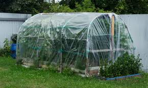 84 Diy Greenhouse Plans Build A