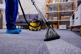 about carpet cleaning hamilton