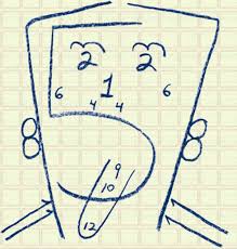 An Alternative To The Cranial Nerves Drawing Used This